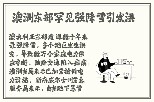 seo短视频网页入口引流